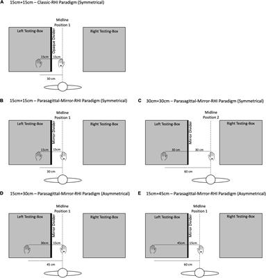 Effects of Symmetry and Apparent Distance in a Parasagittal-Mirror Variant of the Rubber Hand Illusion Paradigm